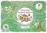 Amazing Animal Babies (Hardcover)