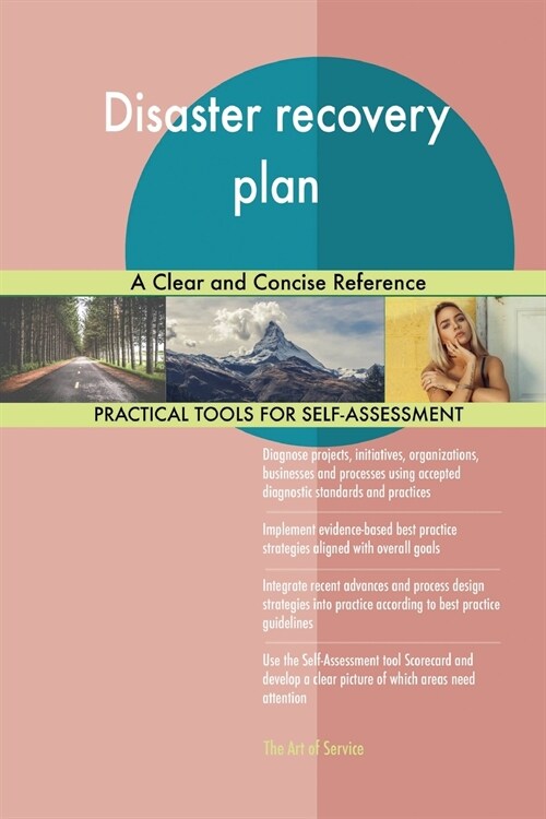 Disaster Recovery Plan a Clear and Concise Reference (Paperback)