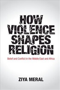 How violence shapes religion : belief and conflict in the Middle East and Africa