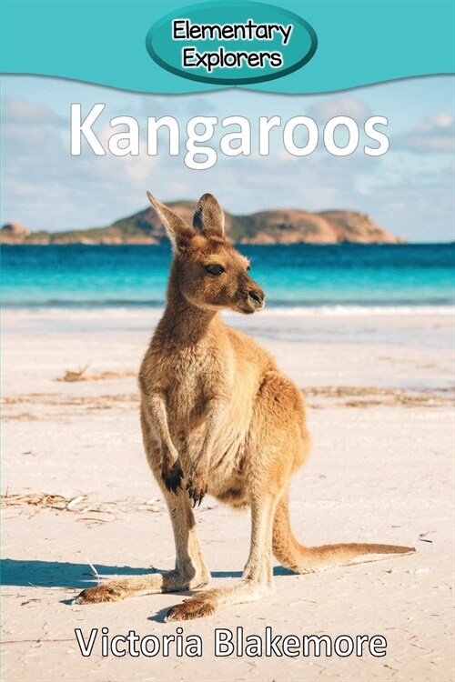 Kangaroos (Paperback)