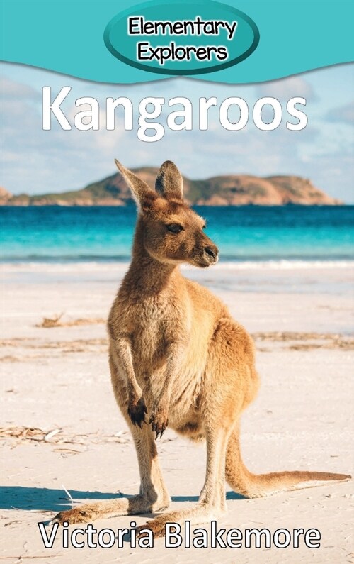 Kangaroos (Hardcover)