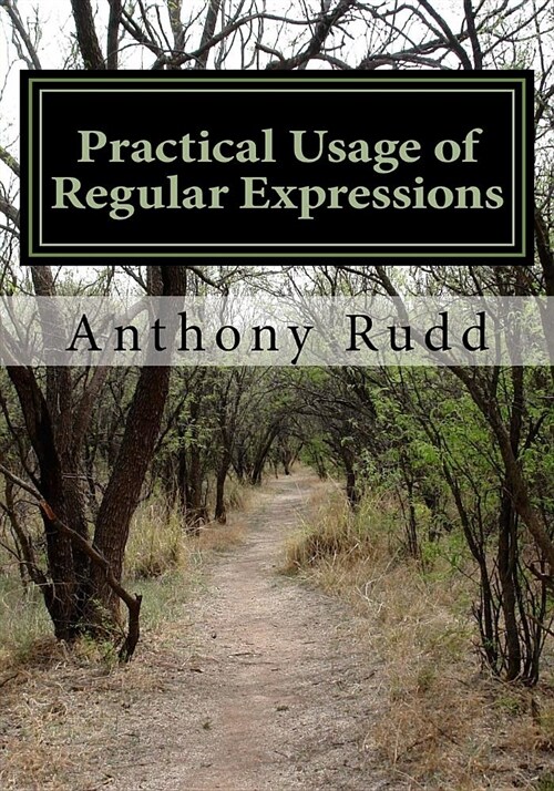 Practical Usage of Regular Expressions: An Introduction to Regexes for Translators (Paperback)