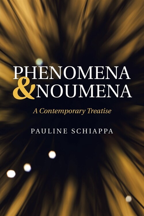 Phenomena & Noumena: A Contemporary Treatise (Paperback)