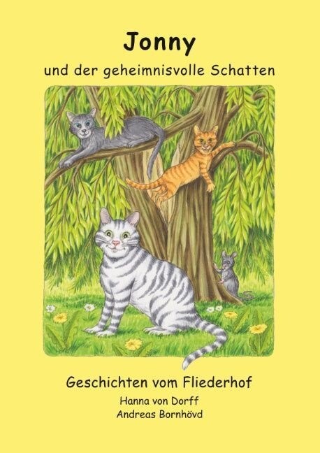 Jonny Und Der Geheimnisvolle Schatten (Paperback)