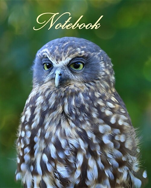 Notebook/ Journal - Ruru (Morepork) New Zealands Native Owl: 8x10 Inch Lined Notebook/Journal (Paperback)