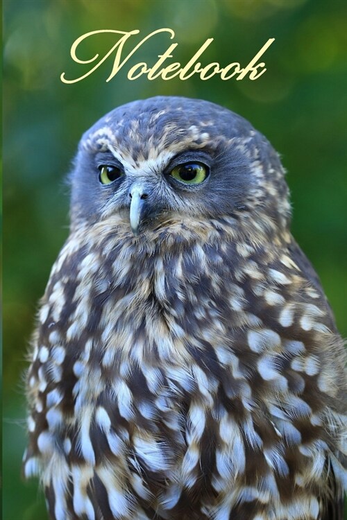 Notebook/ Journal - Ruru (Morepork) New Zealands Native Owl: 6x9 Inch Lined Notebook/Journal (Paperback)