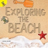 Exploring the Beach (Paperback)