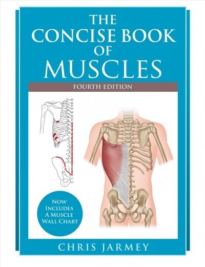The Concise Book of Muscles, Fourth Edition (Paperback)