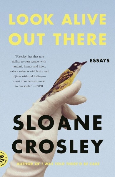 Look Alive Out There: Essays (Paperback)