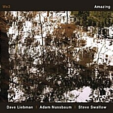 [수입] Dave Liebman , Adam Nussbaum & Steve Swallow - Amazing