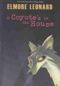 (A)coyote's in the house 
