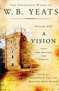 A Vision (Hardcover)