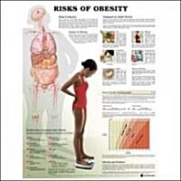 Risks of Obesity Anatomical (Chart)