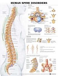 Human Spine Disorders Anatomical Chart (Hardcover, 2)