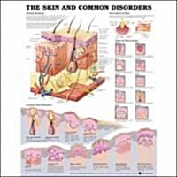 The Skin and Common Disorders (Chart)