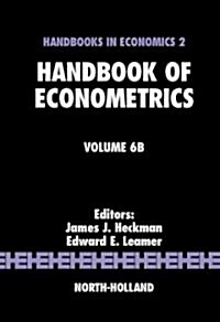 Handbook of Econometrics: Volume 6b (Hardcover)
