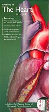 Anatomical Chart Companys Illustrated Pocket Anatomy: Anatomy of the Heart Study Guide (Paperback, Study Guide)