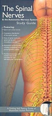 Anatomical Chart Companys Illustrated Pocket Anatomy: The Spinal Nerves & the Autonomic Nervous System Study Guide (Study Guide) (Paperback, Study Guide)