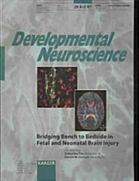 Bridging Bench to Bedside in Fetal and Neonatal Brain Injury (Paperback)