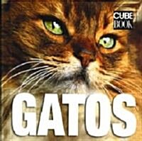Gatos / Cats (Hardcover)