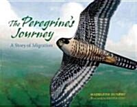 The Peregrines Journey: A Story of Migration (Paperback)