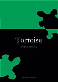 Tortoise (Paperback)