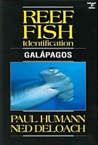 Reef Fish Identification Galapagos (Paperback, 2, Revised)