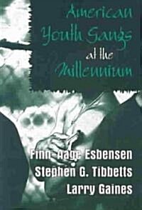American Youth Gangs at the Millennium (Paperback)
