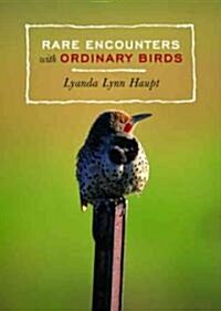 Rare Encounters With Ordinary Birds (Paperback)