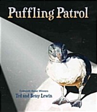 Puffling Patrol (Hardcover)