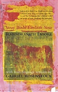Stray Birds / Eanlaith Strae (Paperback)