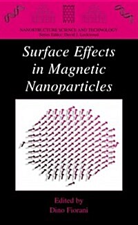 Surface Effects in Magnetic Nanoparticles (Paperback, Reprint)