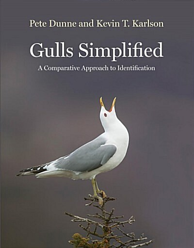 Gulls Simplified: A Comparative Approach to Identification (Paperback)