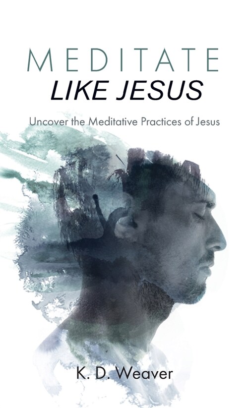 Meditate Like Jesus (Hardcover)