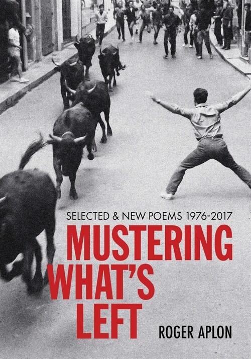 Mustering Whats Left (Paperback)