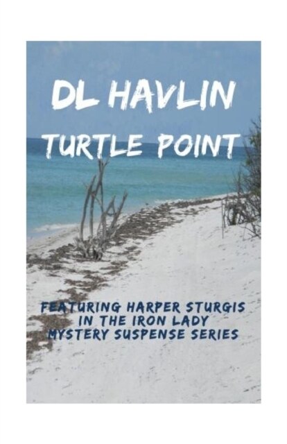 Turtle Point (Paperback)