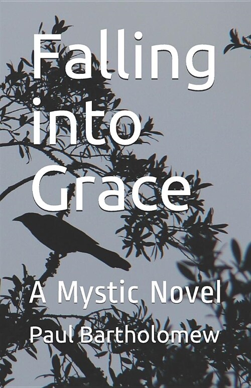 Falling Into Grace (Paperback)