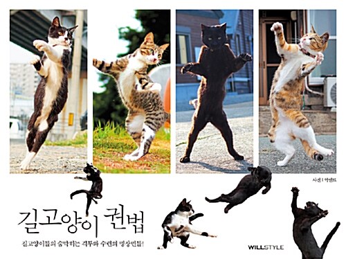 길고양이 권법 : 길고양이들의 숨막히는 격투와 수련의 명장면들!