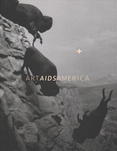 Art AIDS America / Art AIDS America Chicago Boxed Set (Hardcover, BOX)