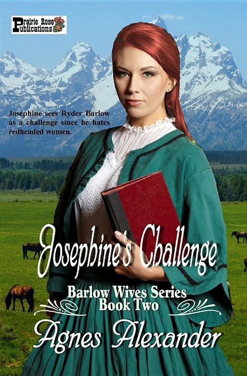 Josephines Challenge (Paperback)