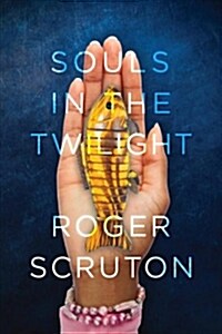 Souls in the Twilight (Paperback)