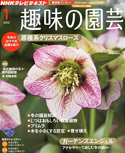 NHK 趣味の園藝 2012年 01月號 [雜誌] (月刊, 雜誌)