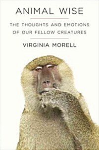 Animal Wise: The Thoughts and Emotions of Our Fellow Creatures (Hardcover, Deckle Edge)