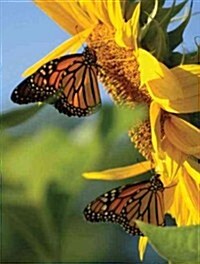 Butterfly Sunflower Blank Journal (Hardcover)