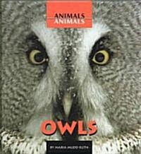 Owls (Library Binding)