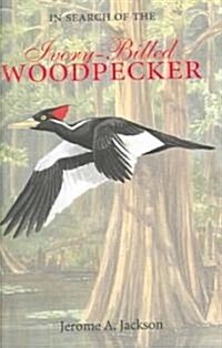 In Search of the Ivory-Billed Woodpecker (Hardcover)