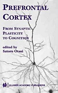 Prefrontal Cortex: From Synaptic Plasticity to Cognition (Hardcover, 2004)