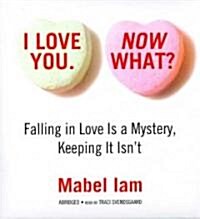 I Love You. Now What?: Falling in Love Is a Mystery, Keeping It Isnt (Audio CD)
