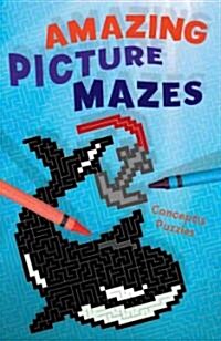 Amazing Picture Mazes (Paperback)