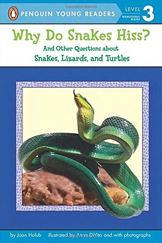 Why Do Snakes Hiss?: And Other Questions about Snakes, Lizards, and Turtles (Paperback)